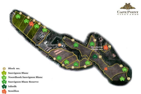 Cape Point Vineyards (Pty) Ltd