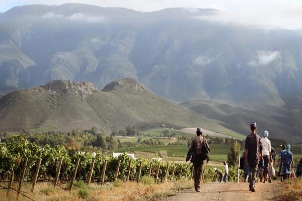 Rietvallei Wine Estate:Won