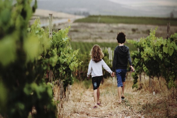 Rietvallei Wine Estate:Won