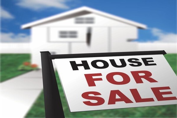 Stedone Homes