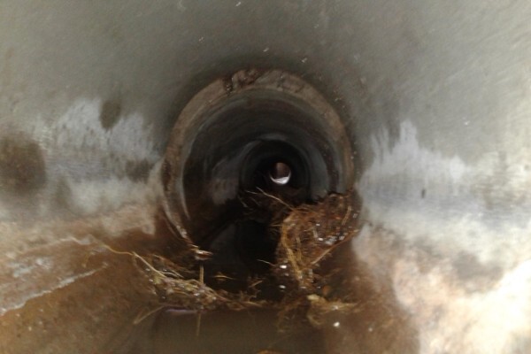 Fourseasons plumbing & maintenance