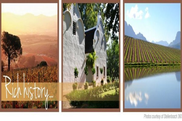Somerset Villa Guesthouse
