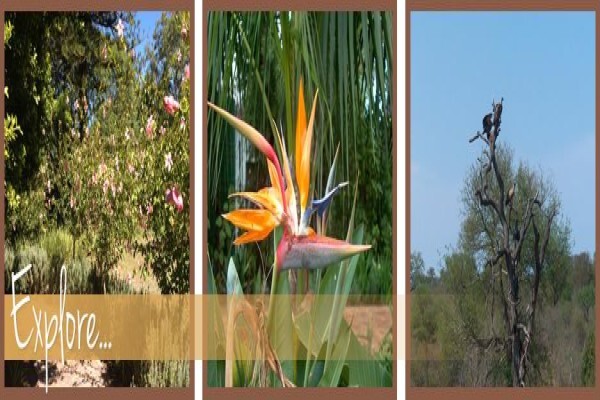 Somerset Villa Guesthouse