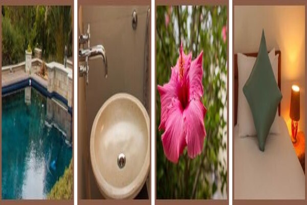 Somerset Villa Guesthouse