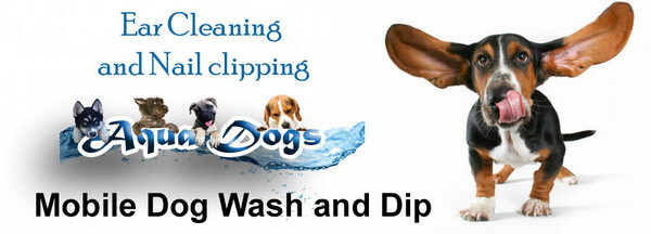 Aqua Dogs - Mobile Dog grooming