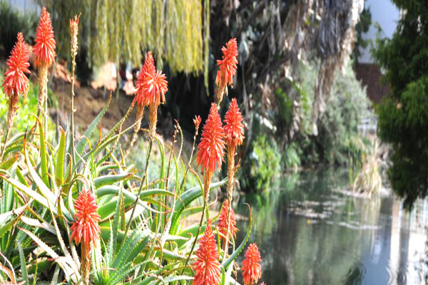 University of the Witwatersrand, (Johannesburg):MRC/Wits Rural Public Health Transitions Research Un