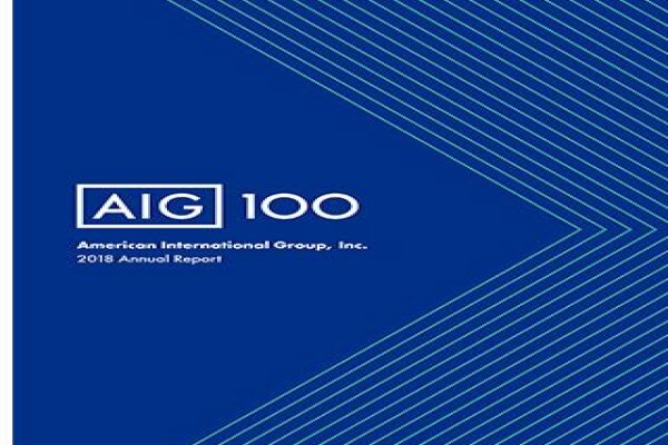 A I G South Africa Ltd