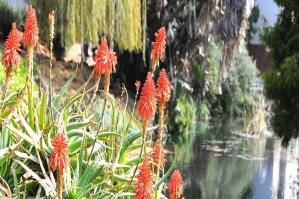 University of the Witwatersrand, (Johannesburg):Health Sciences, Faculty of:Sunnyside Residence:Acco
