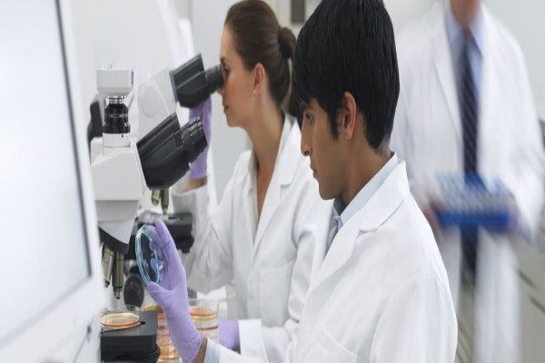 Alcon Laboratories (Pty) Ltd