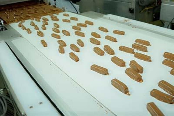 Forest Fairies Sweets