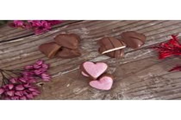 Forest Fairies Sweets