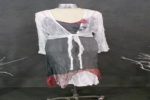 Rent 2dress