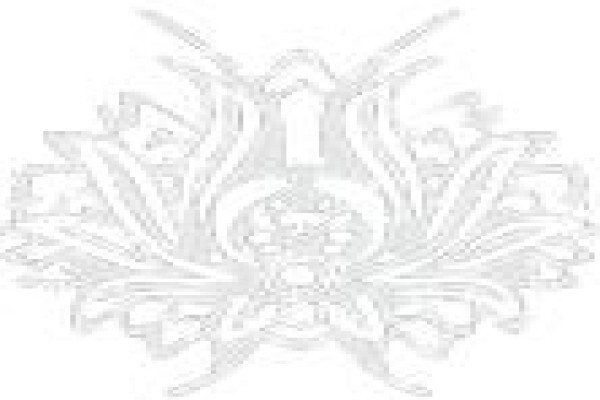 Paras Carpets