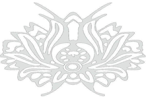 Paras Carpets