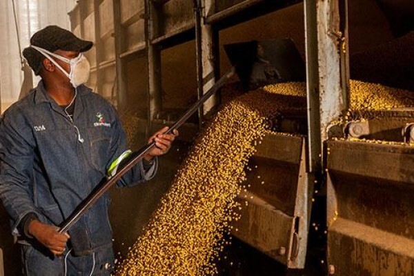 NTK Limpopo Agric Bpk