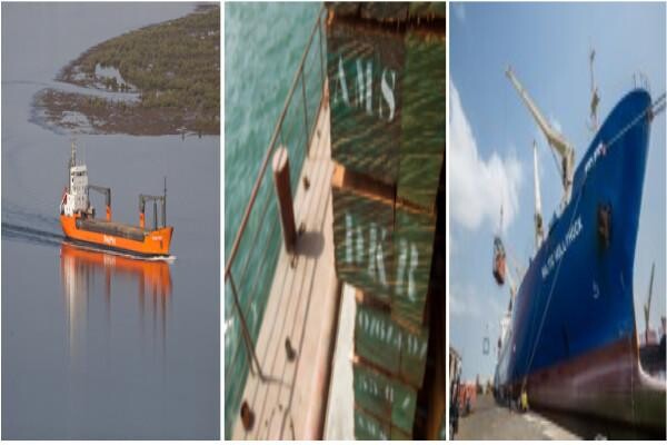 Diamond Shipping (Pty) Ltd