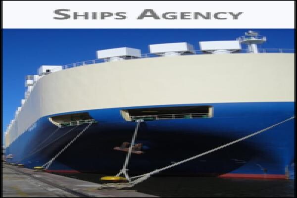 Diamond Shipping (Pty) Ltd