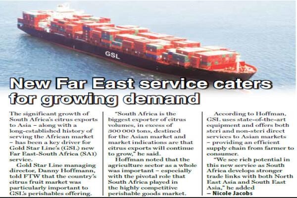 Diamond Shipping (Pty) Ltd