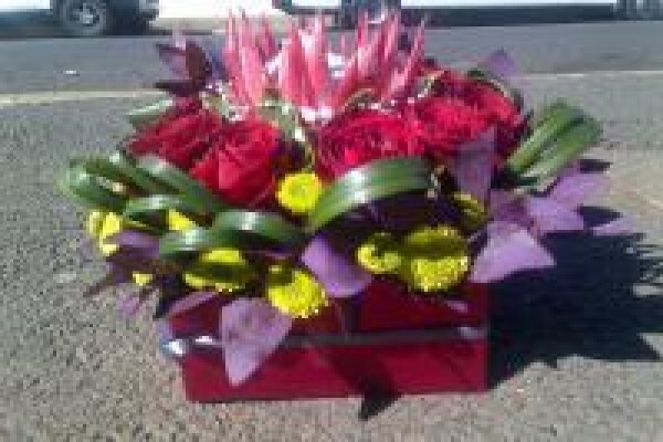 Auckland Park Florist