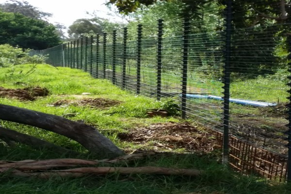 Fences & Gates
