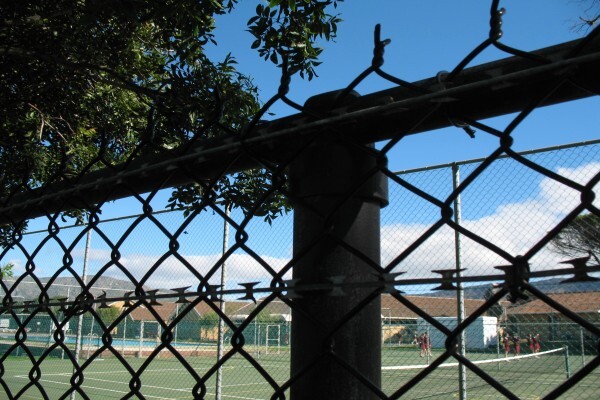 Fences & Gates