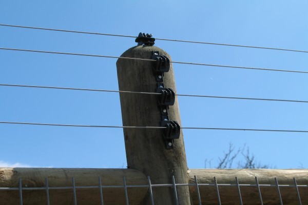 Fences & Gates