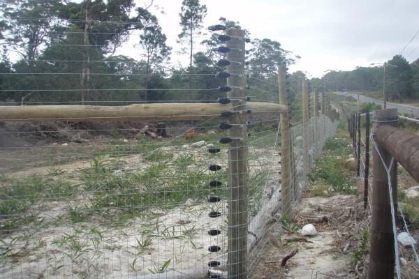 Fences & Gates