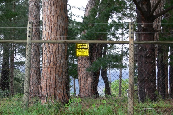 Fences & Gates