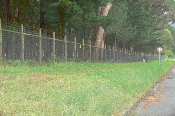 Fences & Gates