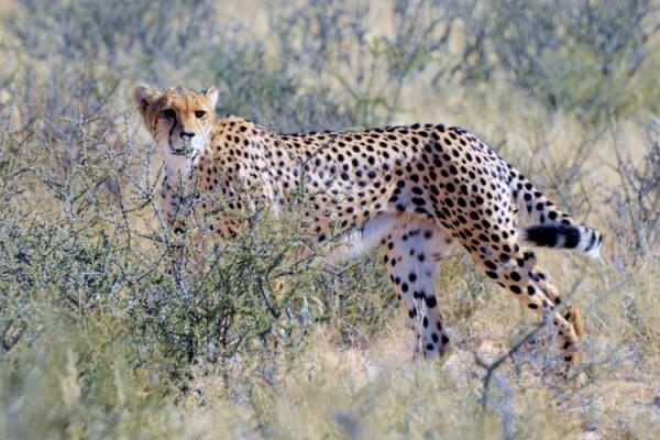 Umkulu Safari and Canoe Trails