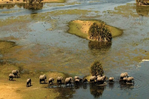 Umkulu Safari and Canoe Trails