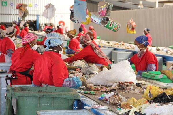 The Waste Group