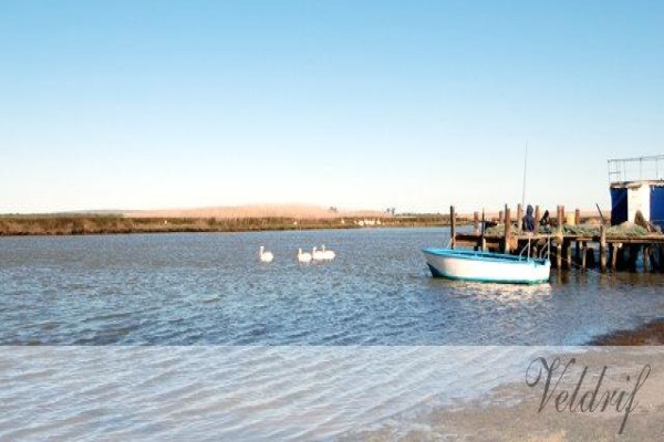 Jane's Guest House & Coffee Shop On The Bay