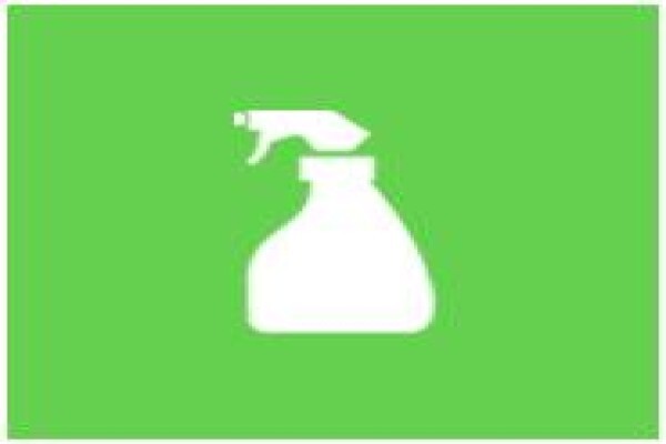 Rent A Maid