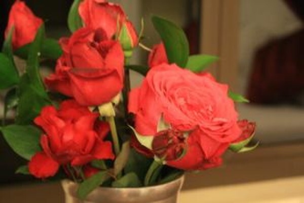 Afri-Lala Boutique Guest House