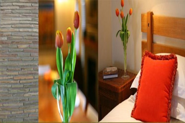 A Place In Thyme B & B