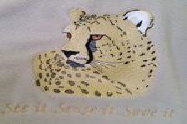 Pataz Embellishments