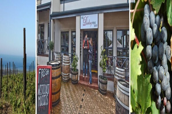 Darling Wine Shop