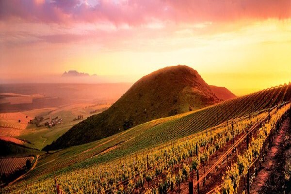 Darling Wine Shop
