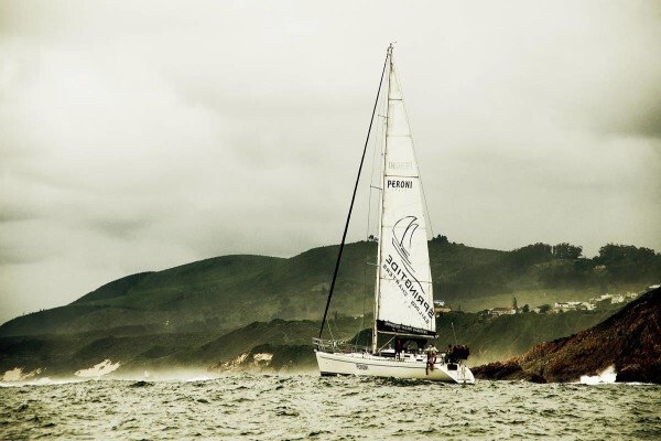 Ocean Odyssey Whale Watching