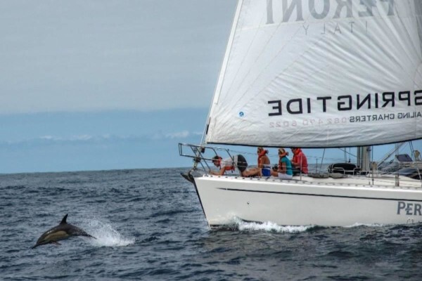Ocean Odyssey Whale Watching