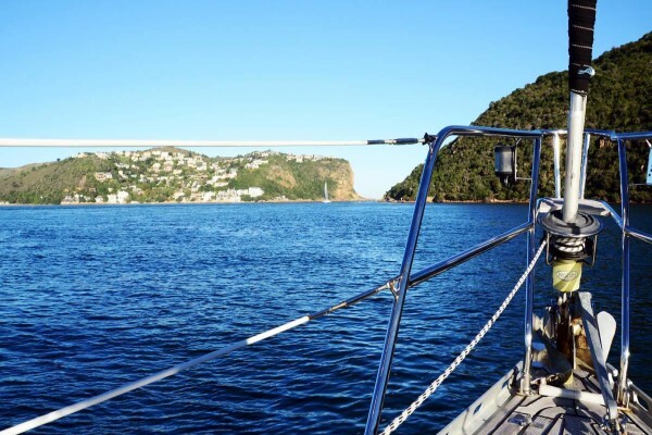 Ocean Odyssey Whale Watching