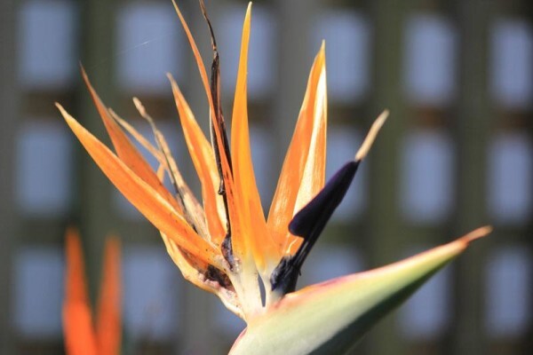 Innzululand Guest Lodge