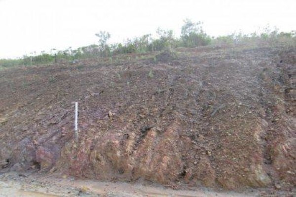 Guillaume Nel Environmental Consultants