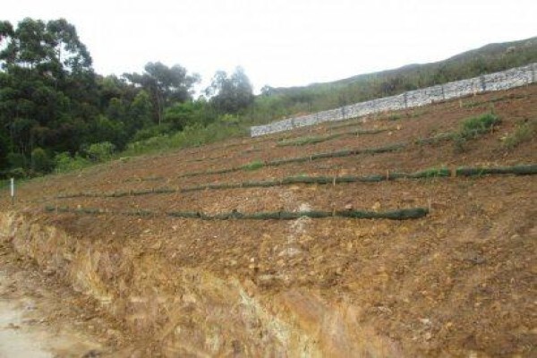 Guillaume Nel Environmental Consultants