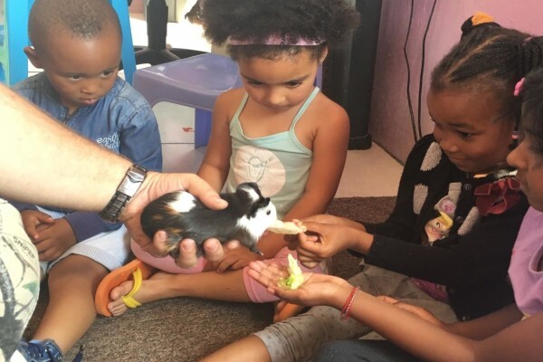 Little Shrek Day Care