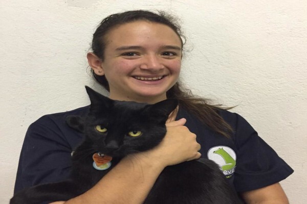 Teva Veterinary Clinic