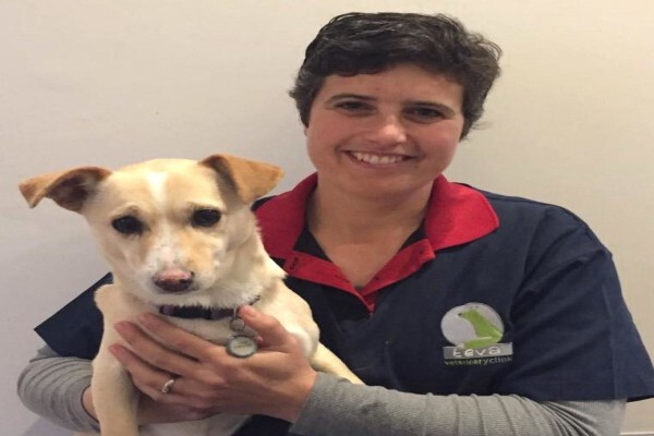 Teva Veterinary Clinic