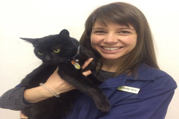 Teva Veterinary Clinic
