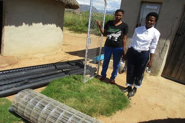 Philakahle Health & Safety Consultants